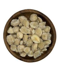 Gepelde kemirinoten (candle nuts) voor Indonesische gerechten