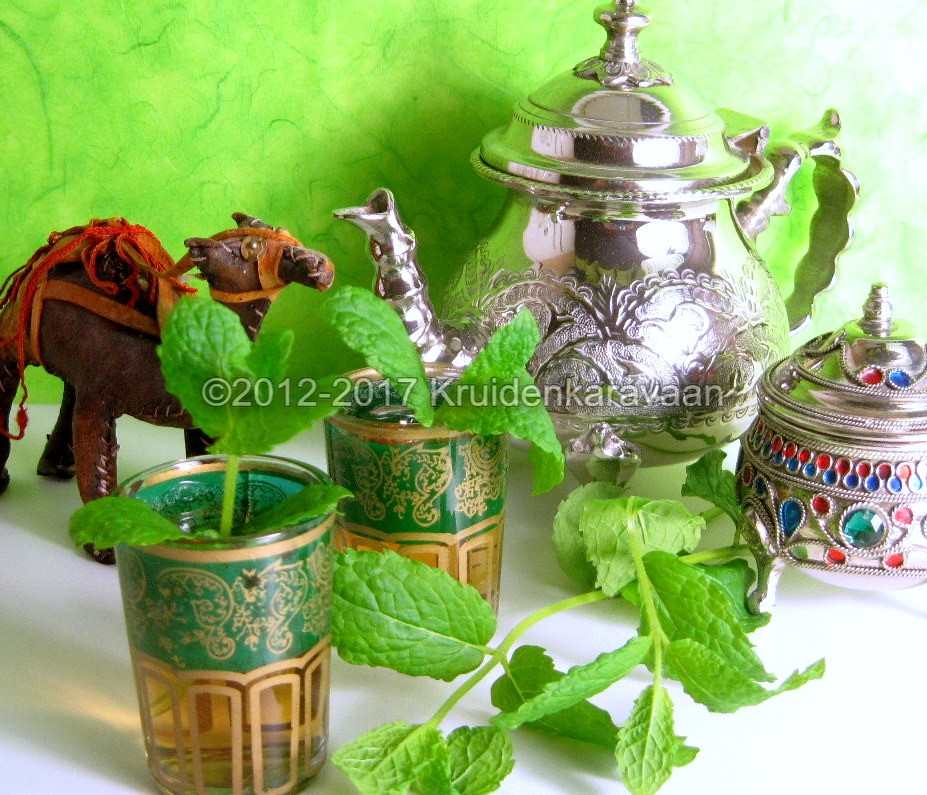 witte-thee-groene-thee-zwarte-thee-gunpowder